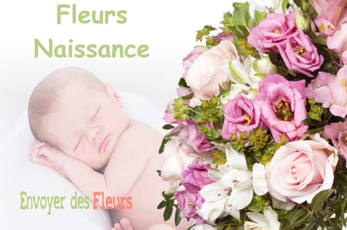 lIVRAISON FLEURS NAISSANCE à ROQUEFORT-SUR-GARONNE